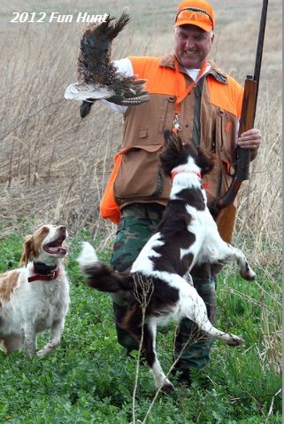Hunting, Training & Small Munsterlander Pointer Events