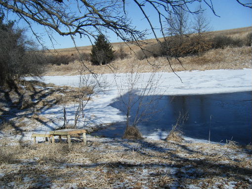 Loch Ness Pond at Brush Dale Hunting Preserve