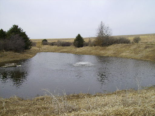 Loch Ness Pond at Brush Dale Hunting Preserve