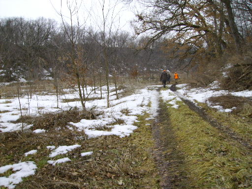 Reforestation Project at Brush Dale Hunting Preserve