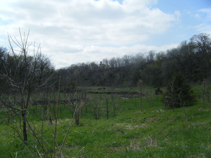 Reforestation Project at Brush Dale Hunting Preserve