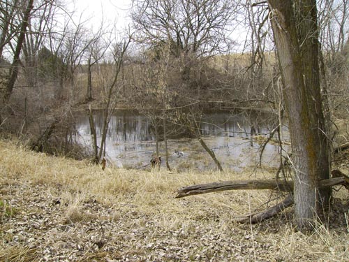 Bullfrog Pond at Brush Dale Hunting Preserve